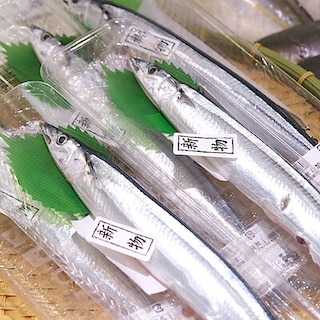 【堺北花田】今日のおすすめは『生さんま』｜鮮魚売場から