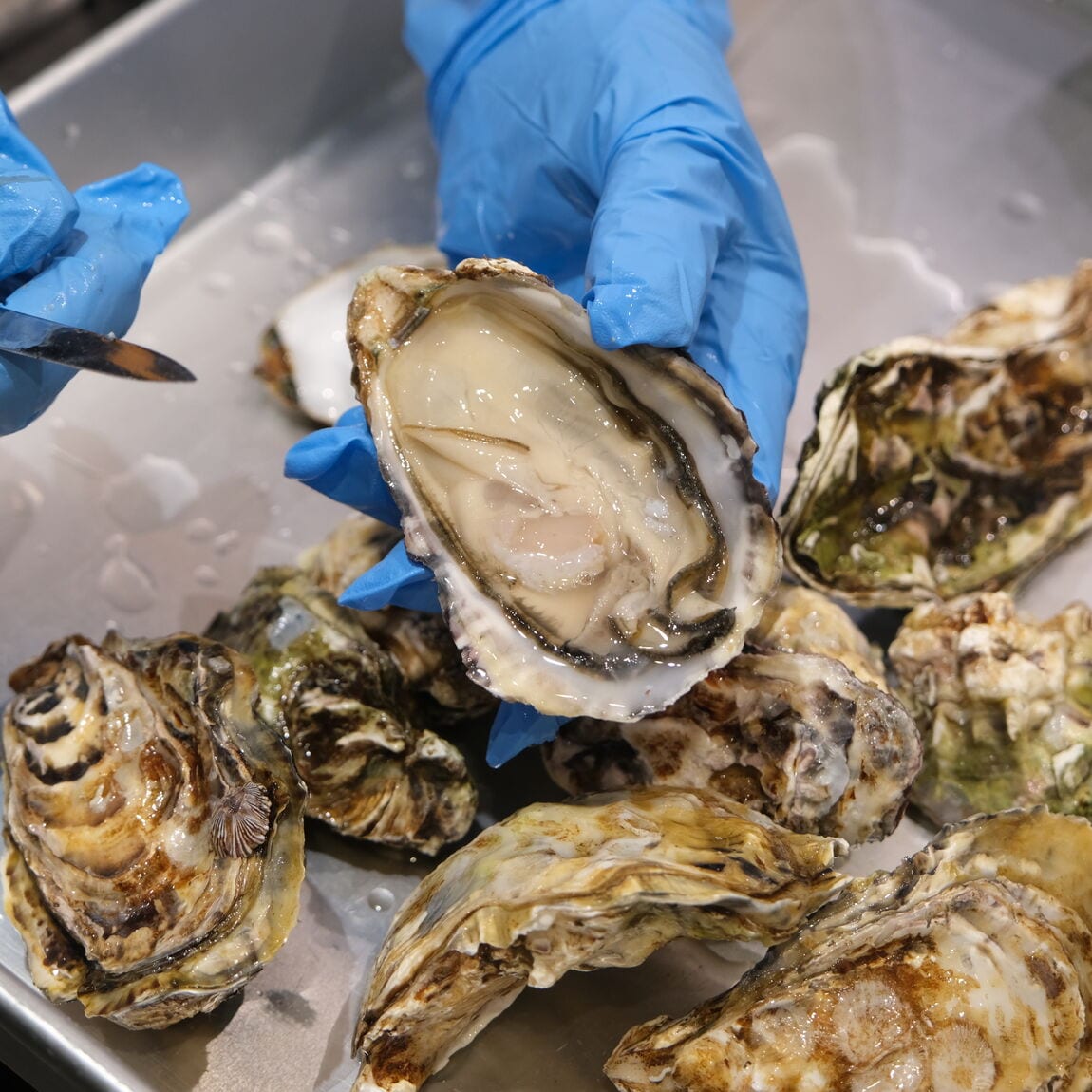 【堺北花田】かなわの殻付牡蠣、販売中です