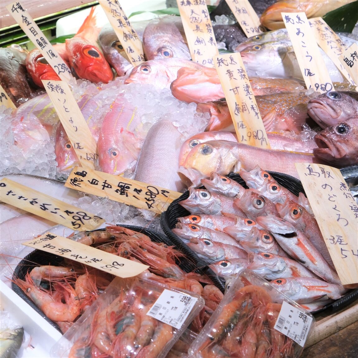 【堺北花田】今日のおすすめ『のどぐろ』｜鮮魚売場から