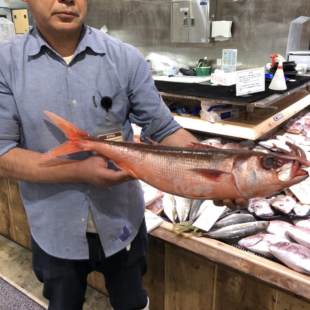 キービジュアル画像：“生粋の魚好き”の岩切さんの、今日のおすすめ。