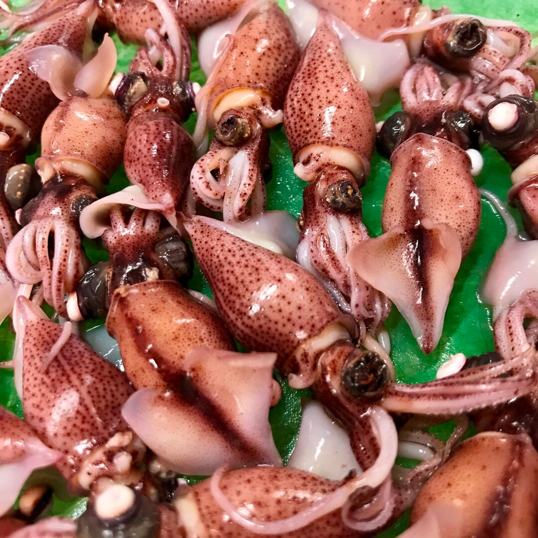 キービジュアル画像：お買いものは、火曜生鮮市で。鮮魚・青果・精肉のおすすめです