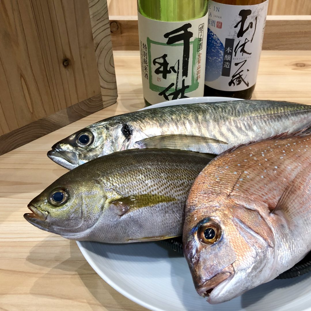 キービジュアル画像：鳥取県・境港から新鮮な魚がたくさん届きました