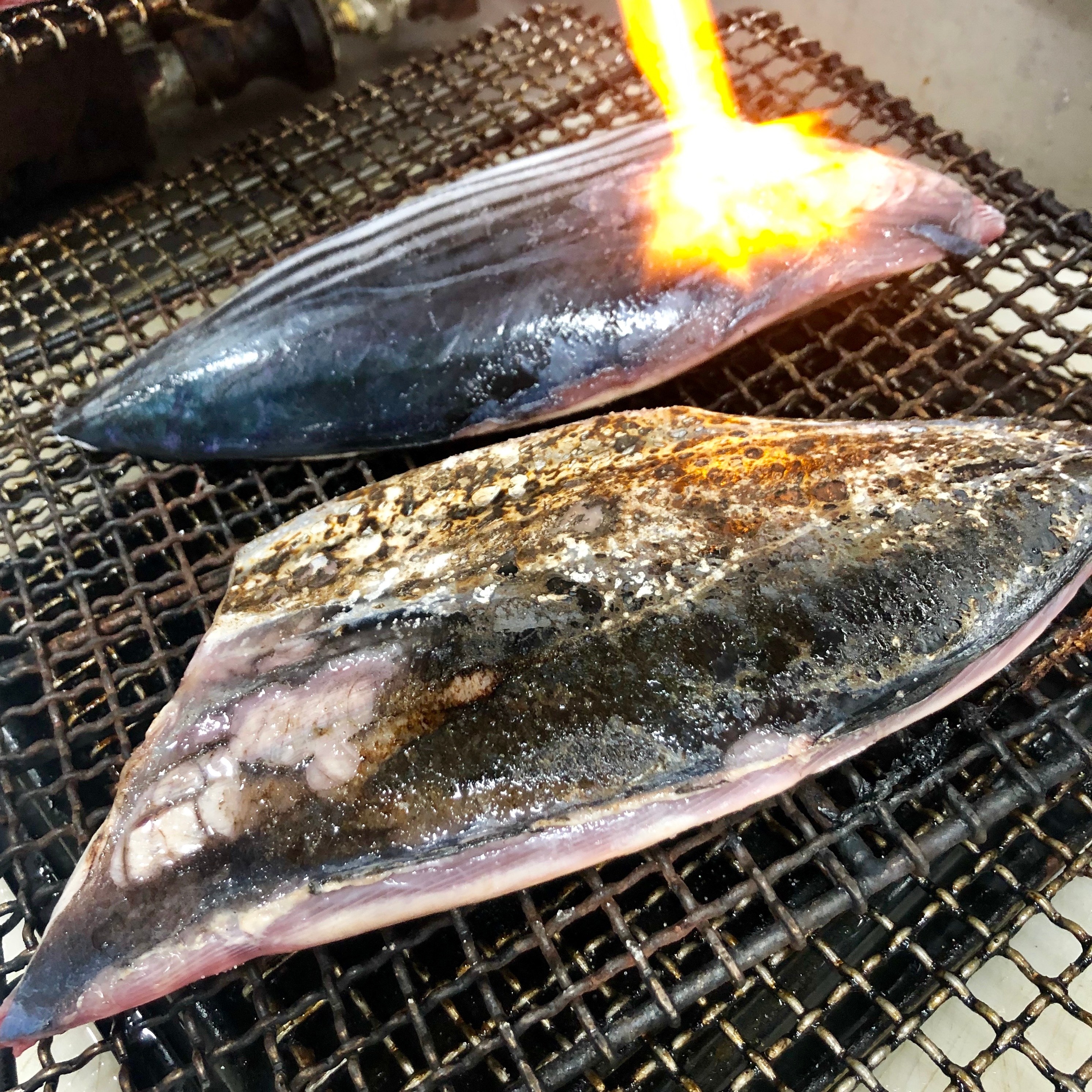 キービジュアル画像：今日のご飯は何を食べますか｜火曜生鮮市