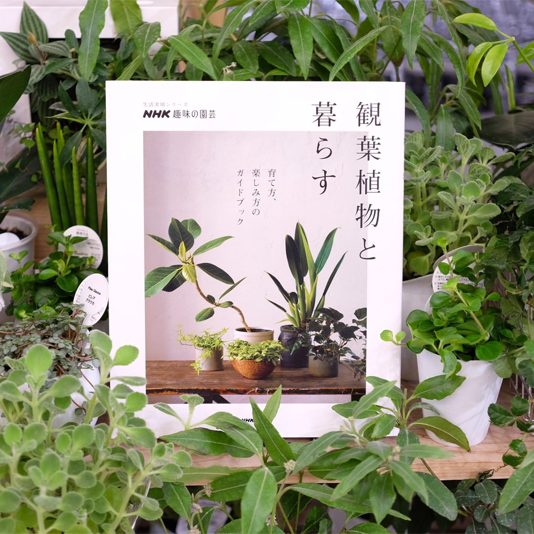 【イオンモール堺北花田】植物とともに、くらす