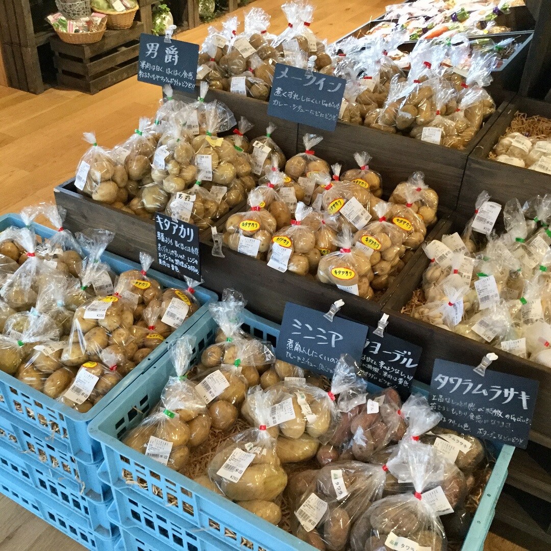 キービジュアル画像：里のMUJI みんなみの里【収穫市】開催します