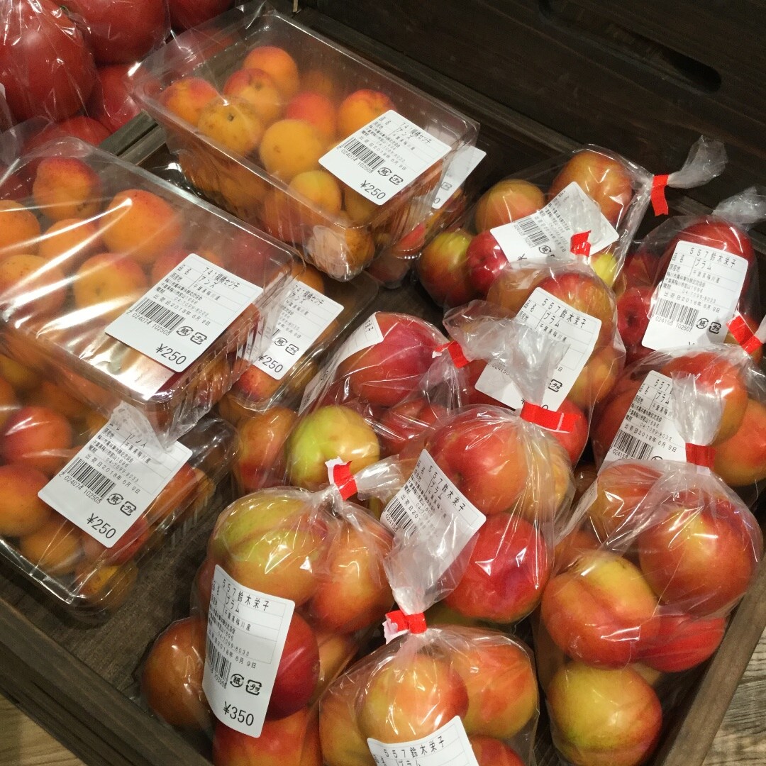キービジュアル画像：すももの新鮮さをアピールするのはブルーム。そして食べごろサインは芳しい香りです