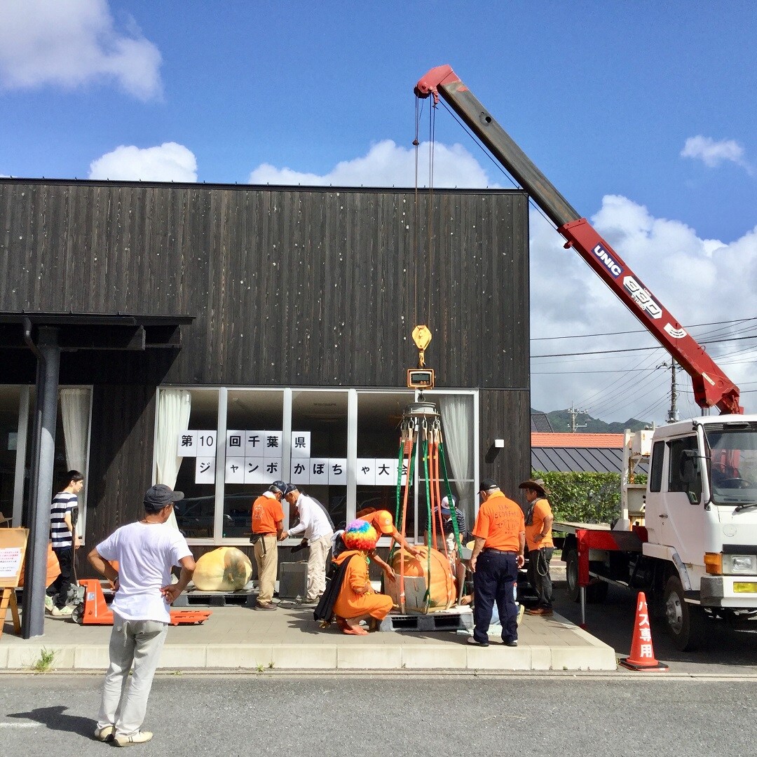 キービジュアル画像：優勝は397kg | 第10回 千葉県ジャンボかぼちゃ大会