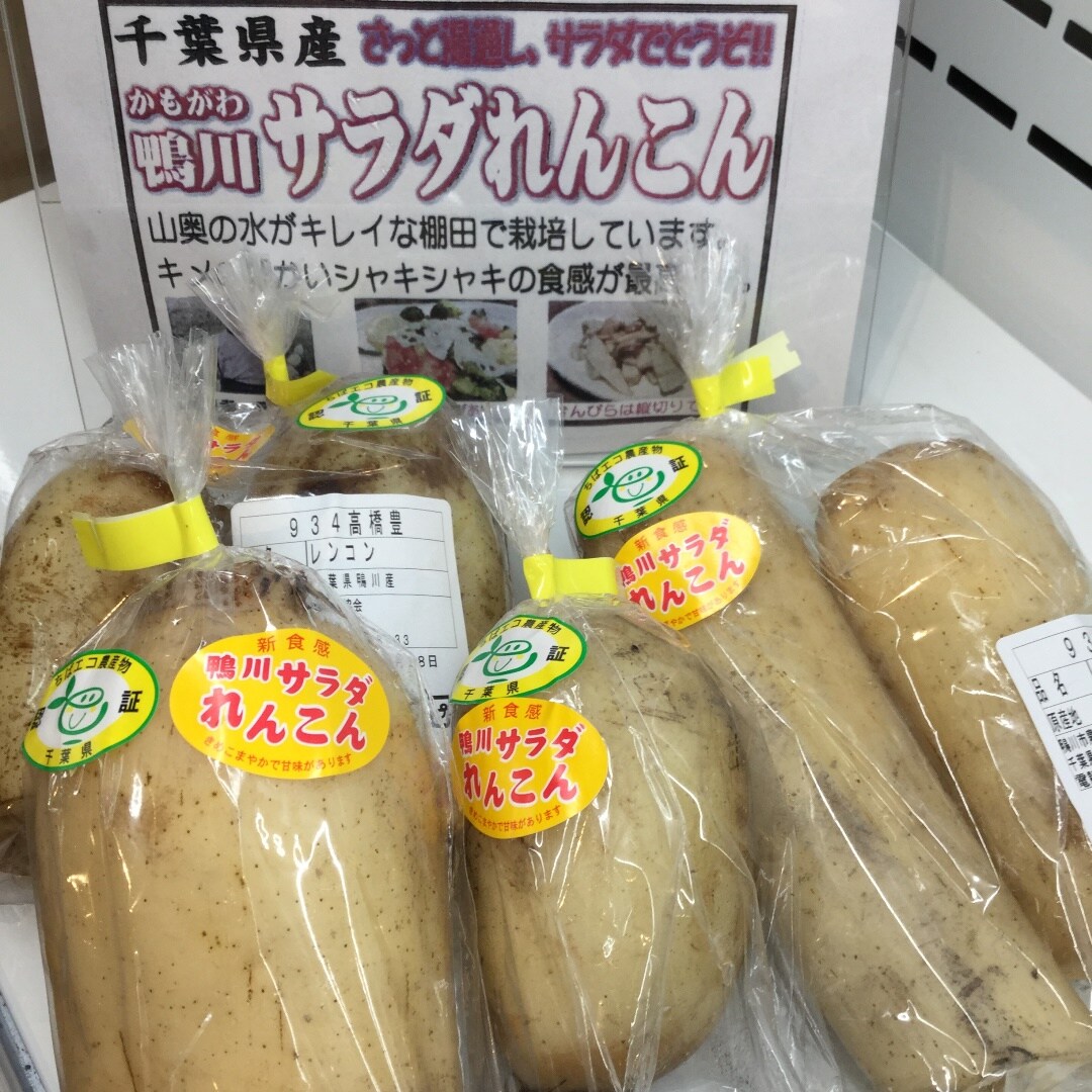 キービジュアル画像：里山で育った色白のれんこんです