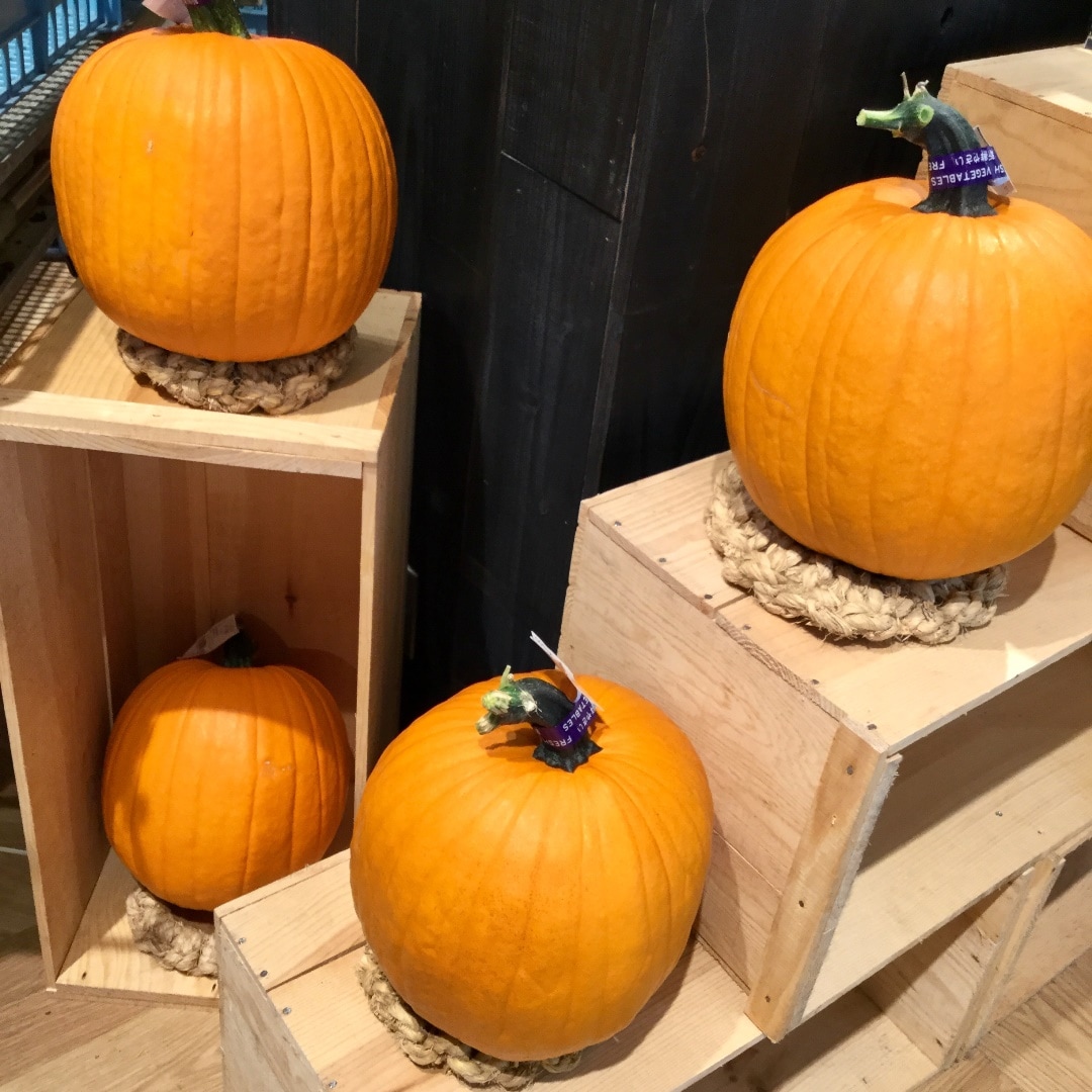 キービジュアル画像：秋を感じさせる二種類のかぼちゃ