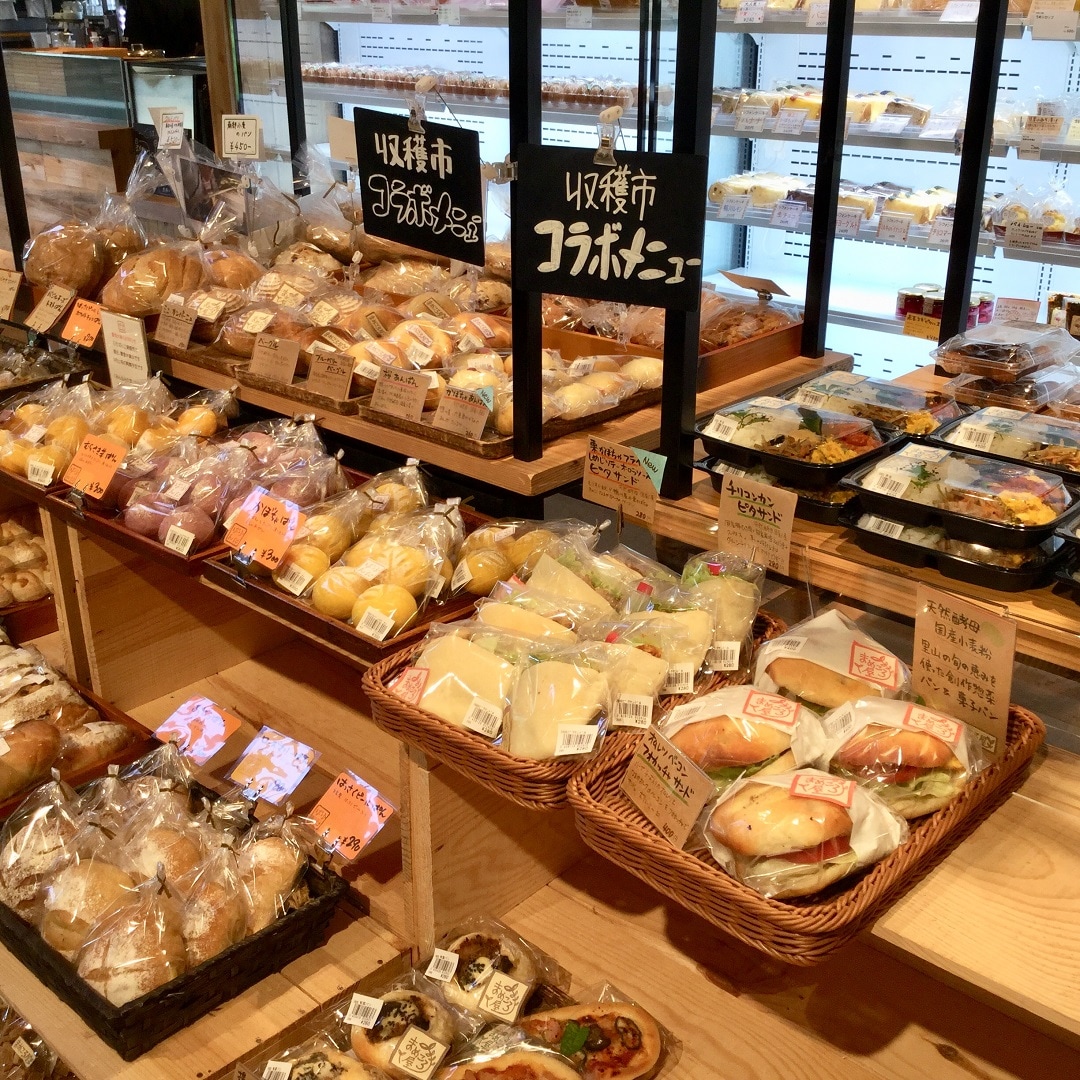 キービジュアル画像：始まりました | 第3回 里のMUJI みんなみの里【収穫市】かぼちゃ