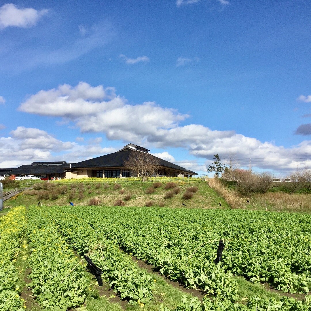 キービジュアル画像：里に小さな春がやってきました