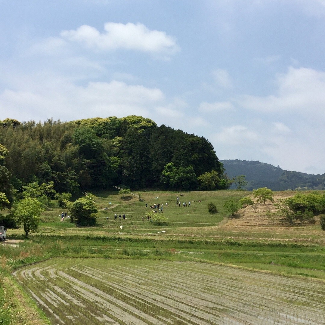 キービジュアル画像：大人も子どもも一仕事終えました | 田植え体験