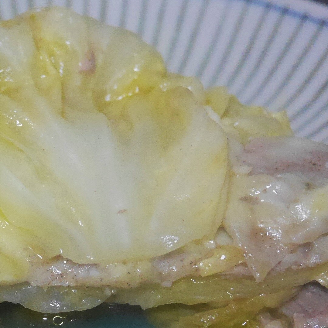 キービジュアル画像：春キャベツの甘さとチーズの風味がさわやかな『春キャベツの蒸し焼きサンド』 | おっかさんのまんま