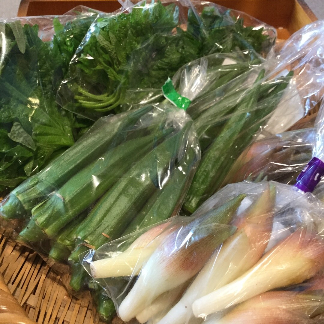 キービジュアル画像：夏バテ防止に、みょうが、オクラ、青じそを食べましょう