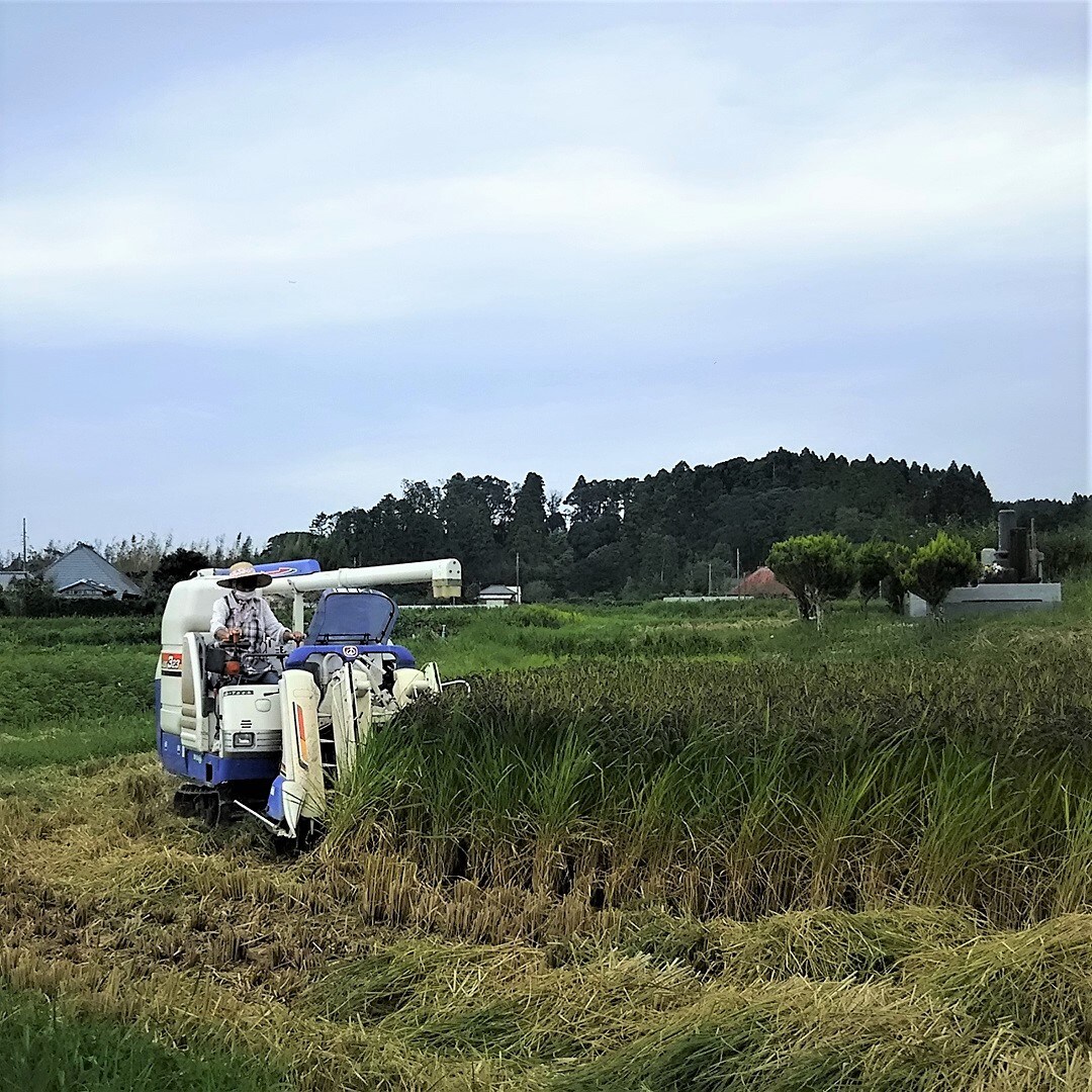 【みんなみの里】小山さん