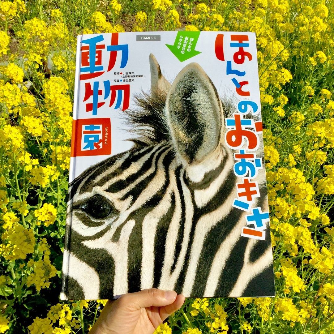 ほんとのおおきさ