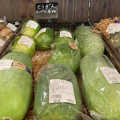 【みんなみの里】かたち色々冬瓜