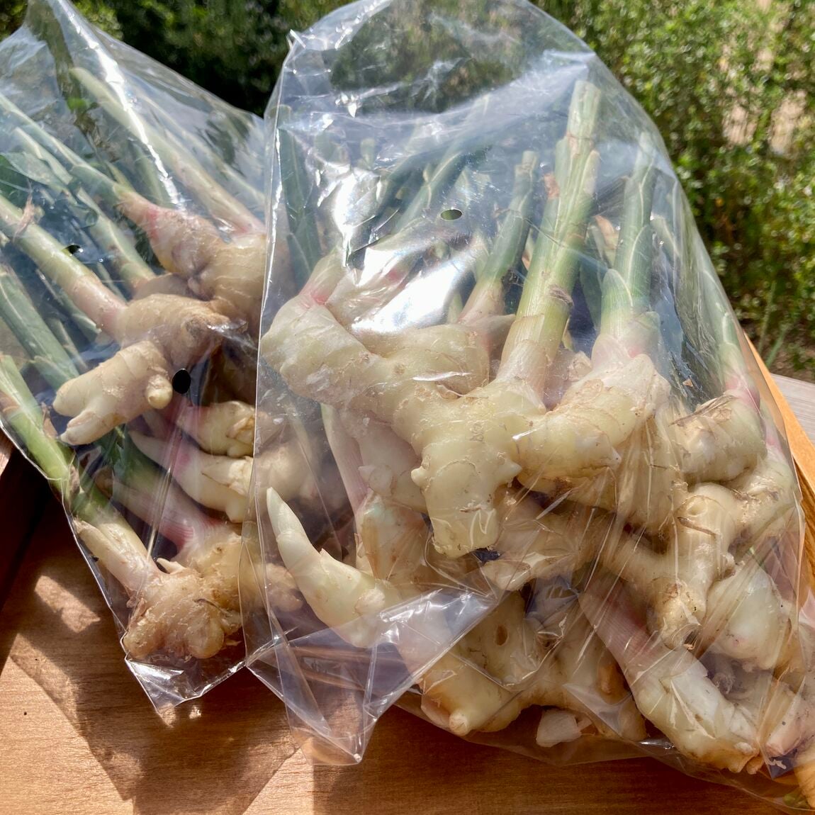 【みんなみの里】新生姜入荷してます