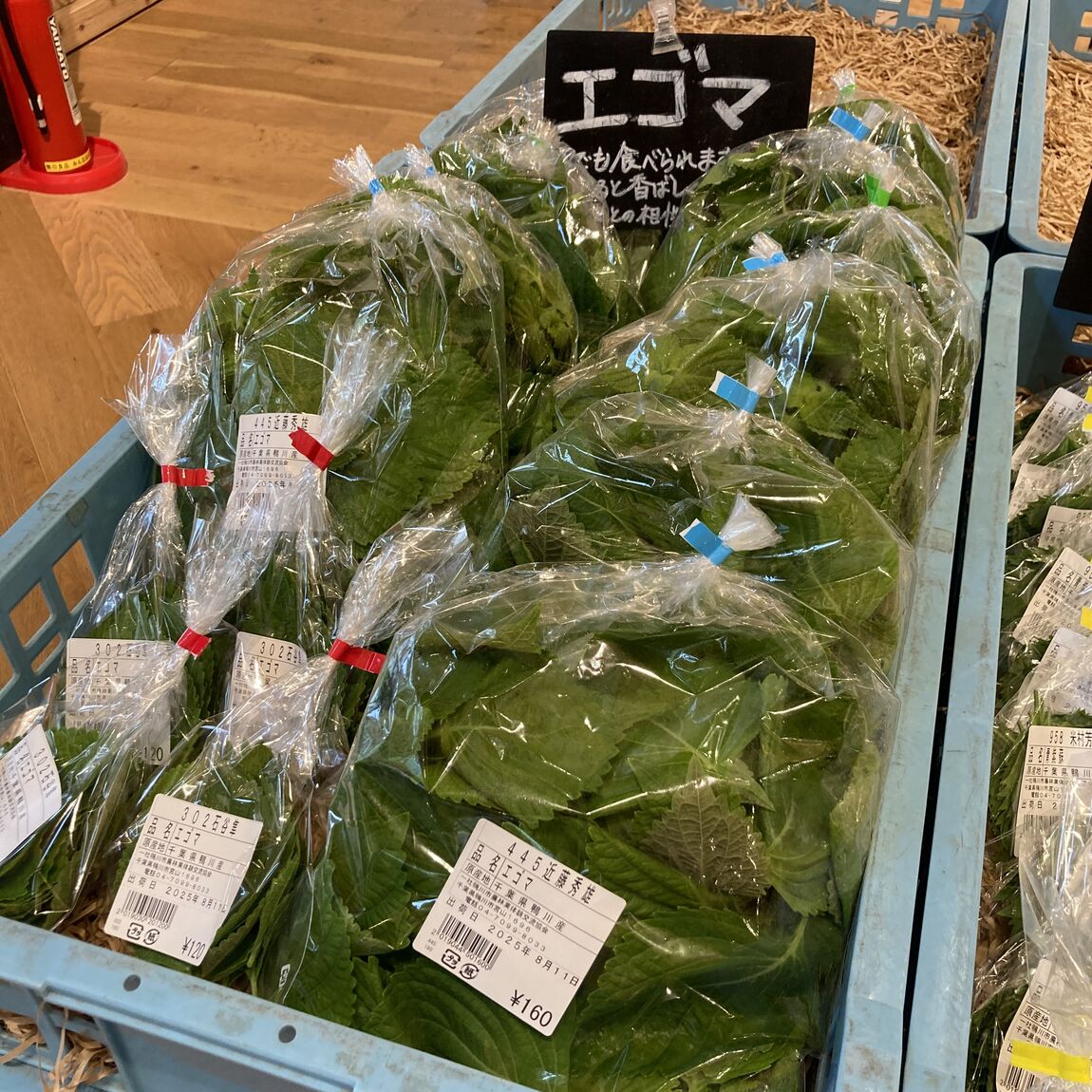 【みんなみの里】エゴマ