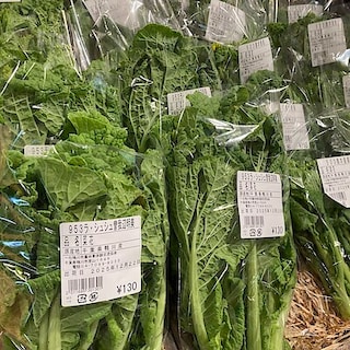 【みんなみの里】小さい春がやって来ました