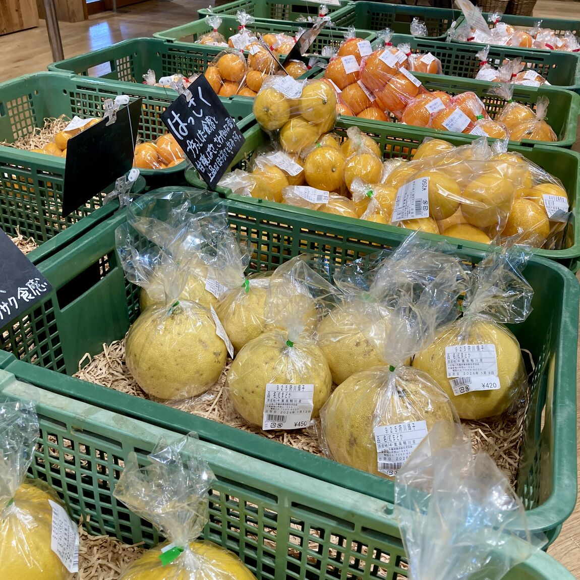 【みんなみの里】晩柑色々