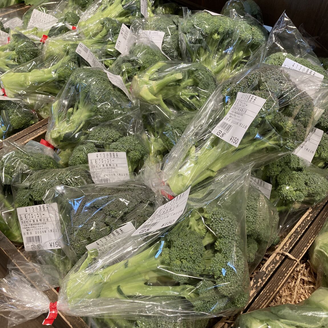 【みんなみの里】ブロッコリー