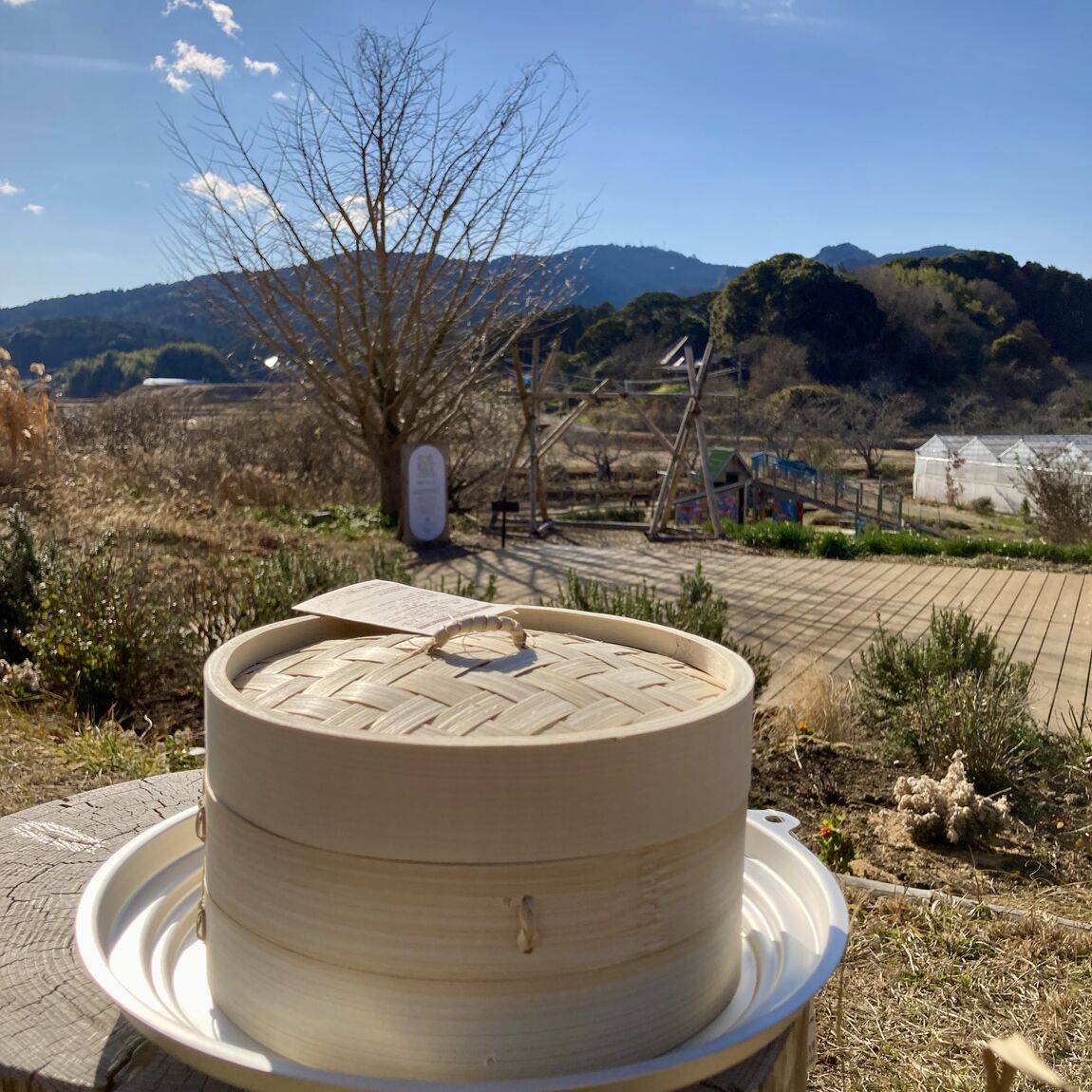 【みんなみの里】蒸篭で野菜はいかが