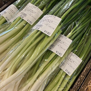 【みんなみの里】ネギに似てネギにあらず