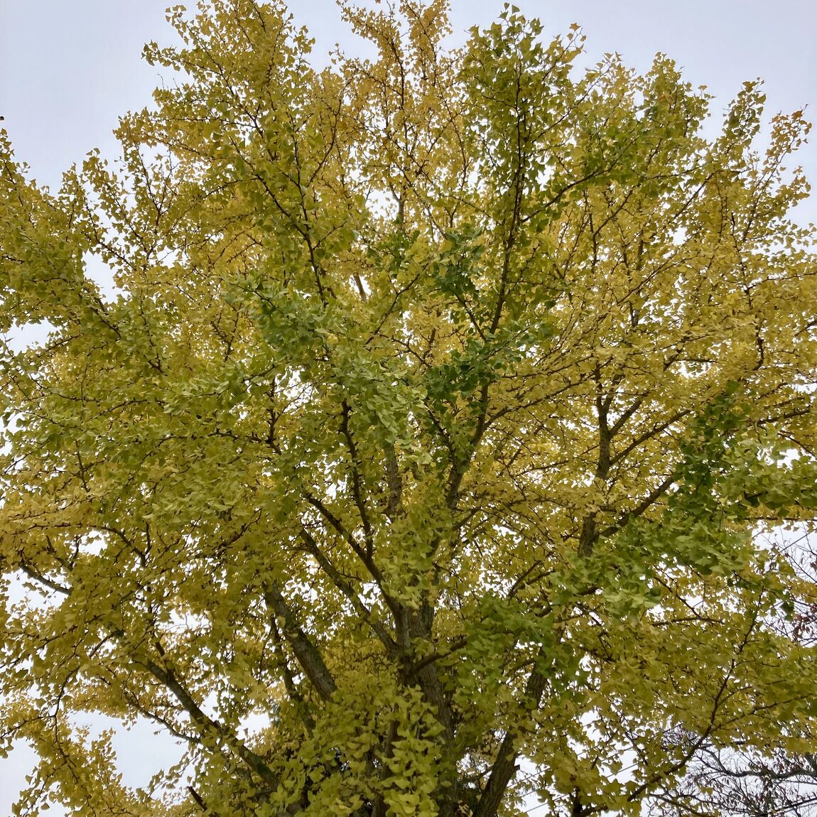 【みんなみの里】冬のはじまり