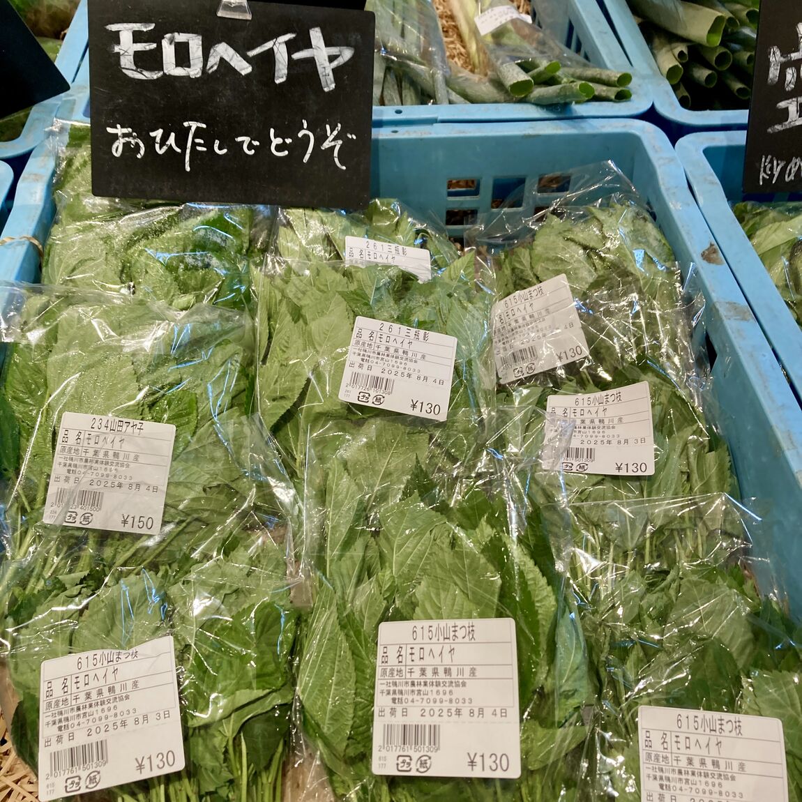 【みんなみの里】夏に疲れるなんて