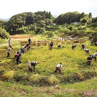 【みんなみの里】10月の里山を楽しむ体験！～稲刈り～