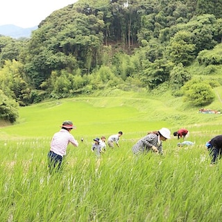【みんなみの里】６月の里山を楽しむ体験！棚田のお手入れ＆食器づくり体験のお誘い