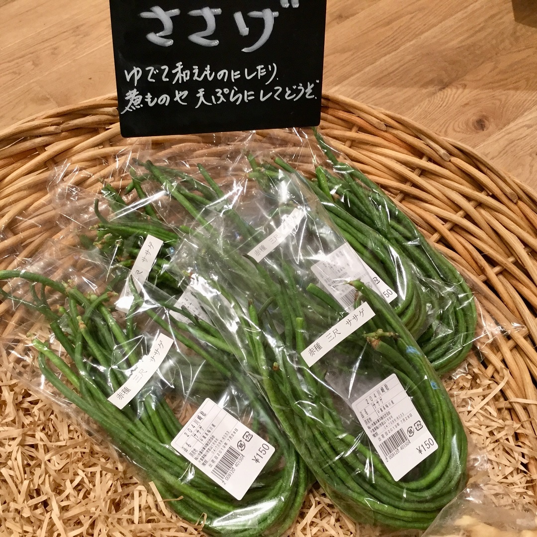 みんなみの里】細長い姿の『三尺ささげ』はいろいろな食べ方が出来ます
