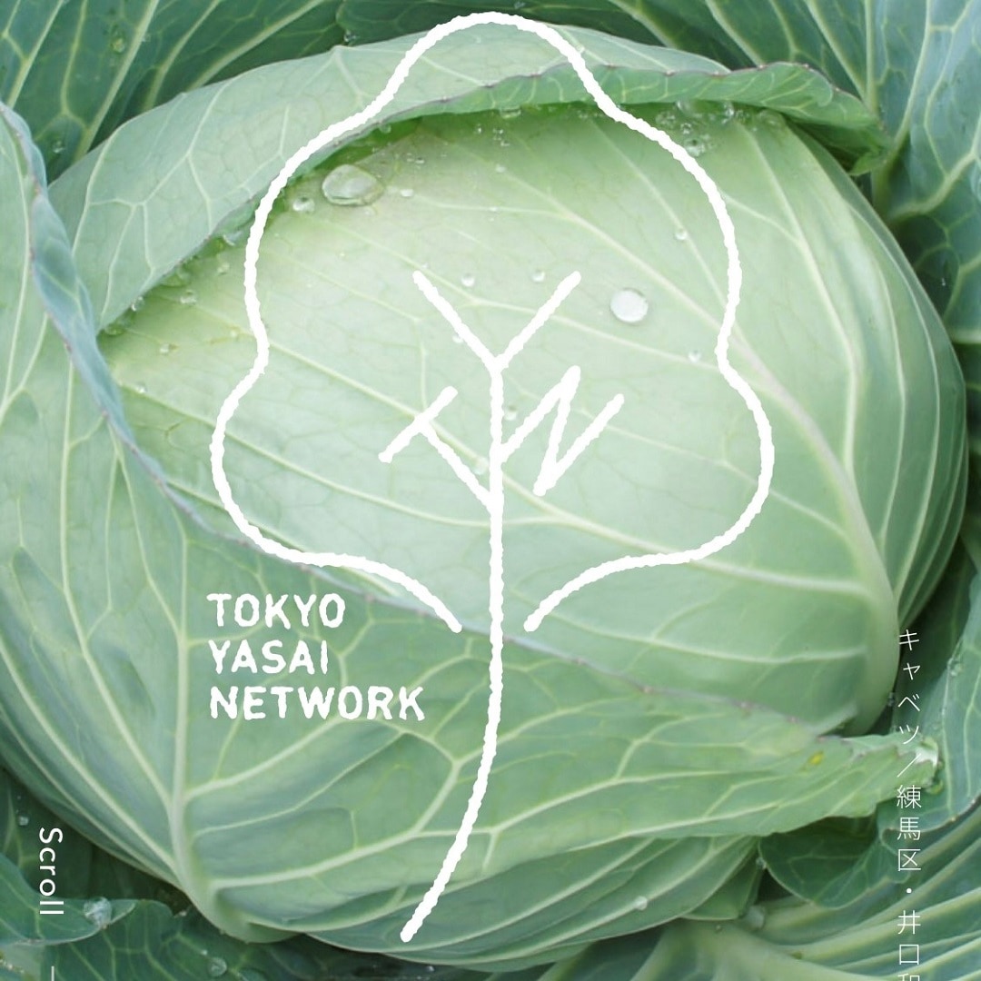 タイトル