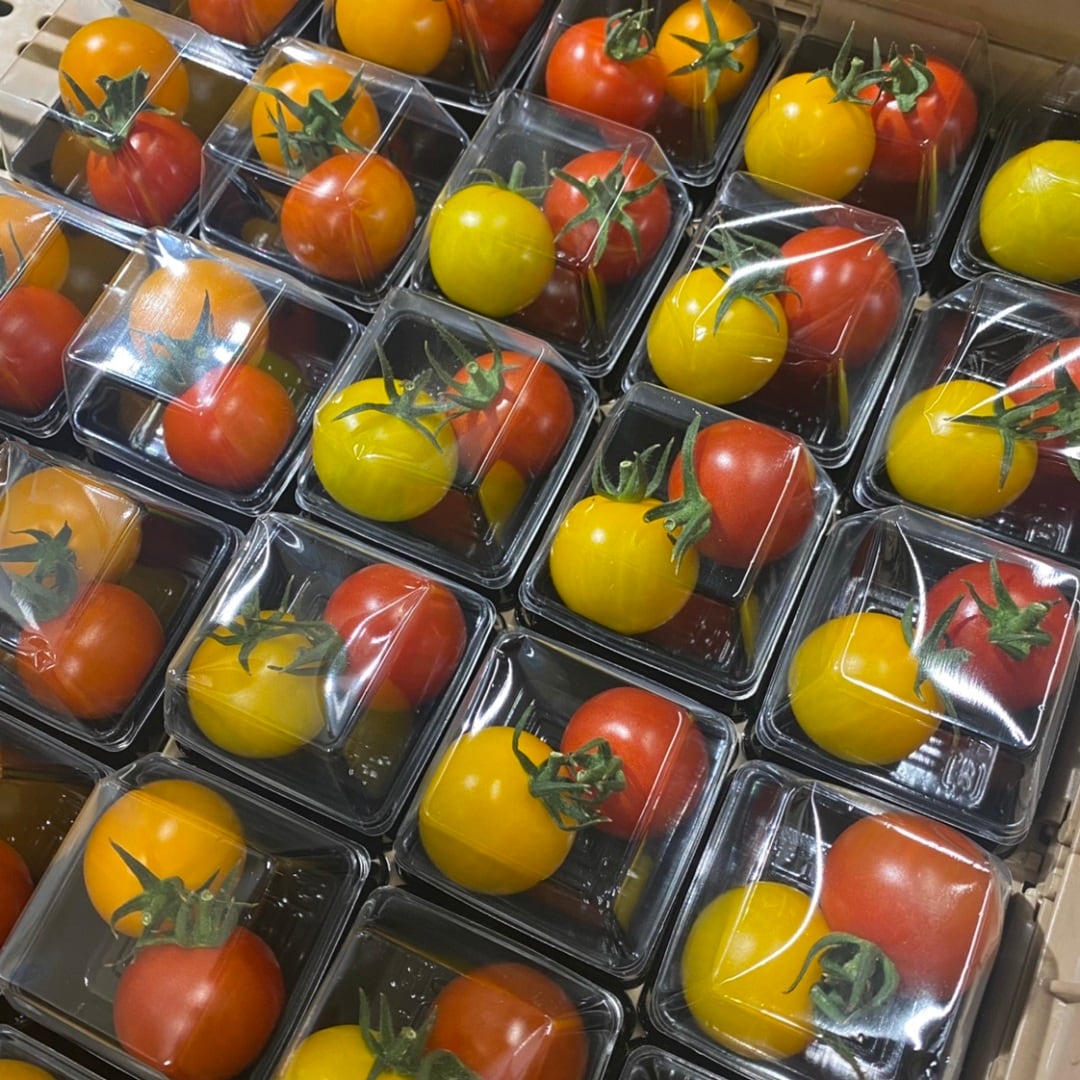 MUJIcom光が丘ゆりの木商店街】今週の推しベジ「さわとまと」｜ 無印良品