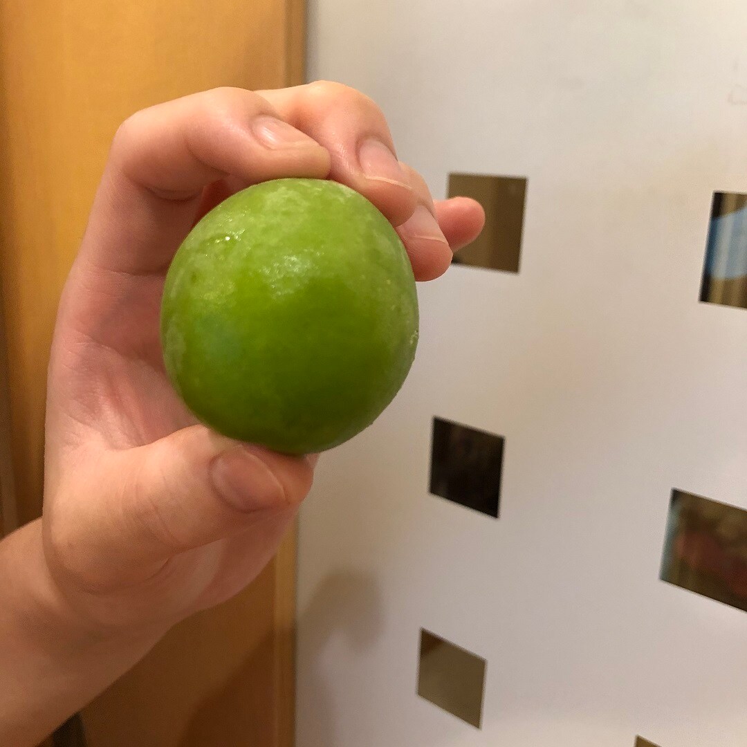 【MUJIcom光が丘ゆりの木商店街】梅仕事やってみました