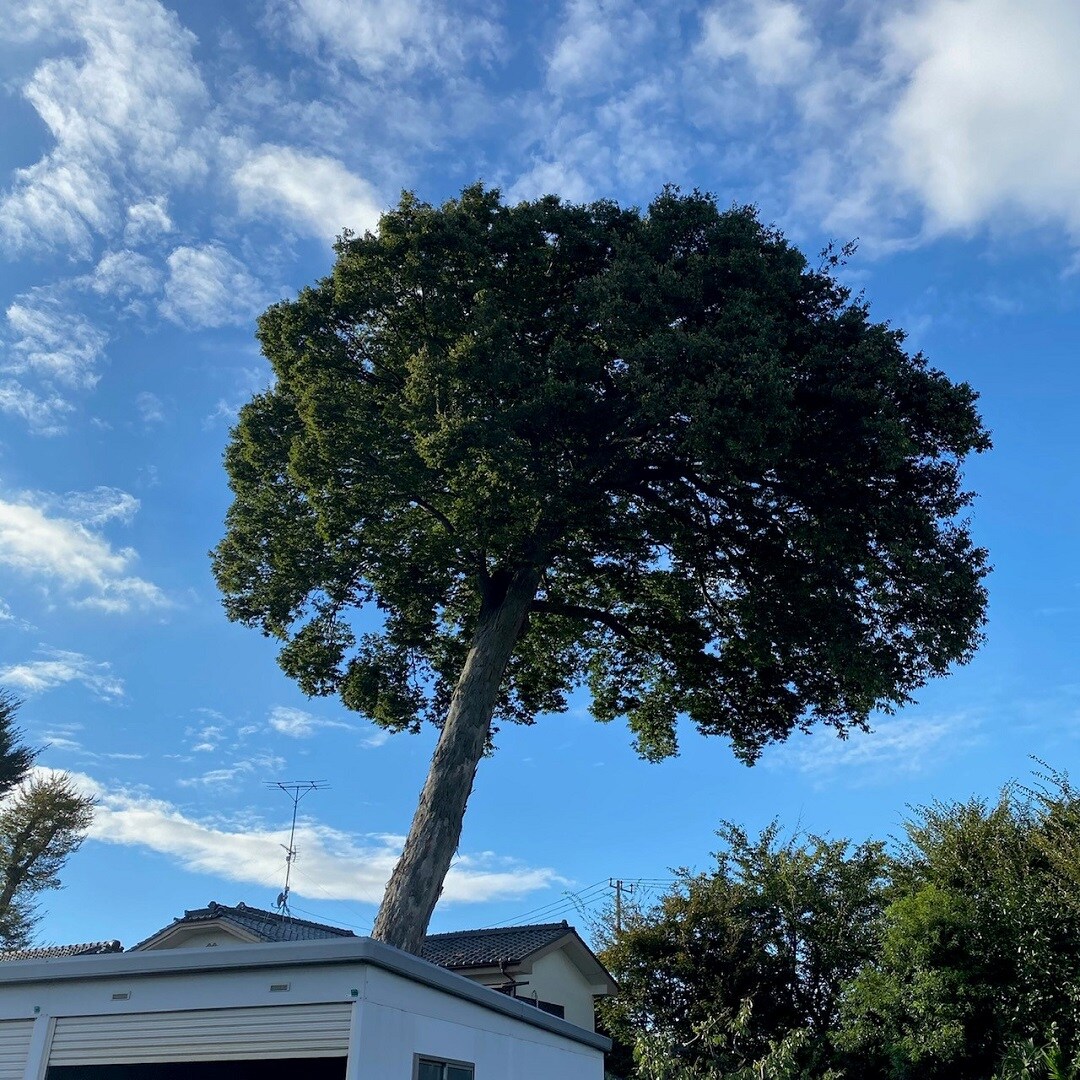 井口農園
