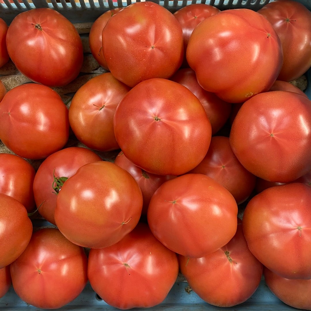 トマトいっぱい