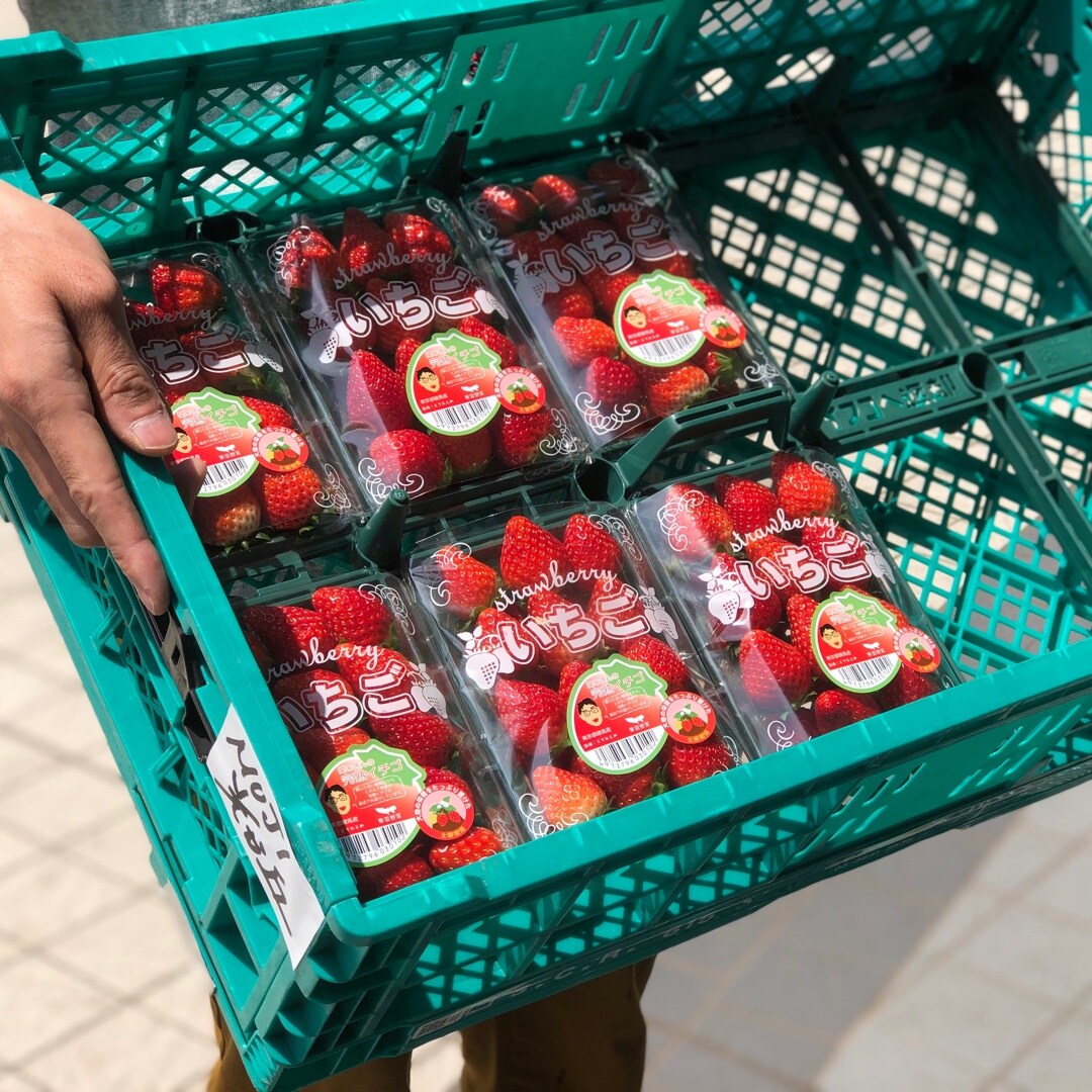 キービジュアル画像：【いちごとレタスが先ほど入荷しました！】東京野菜マルシェ開催中