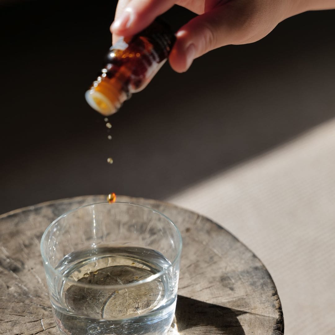 『かおりをきく』展オープニングトークのお知らせ