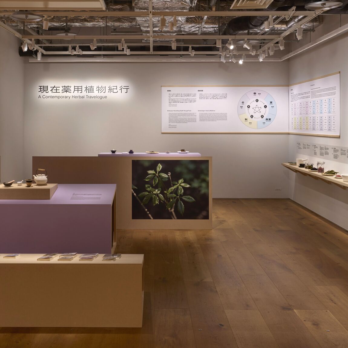 現在薬用植物紀行展がはじまりました