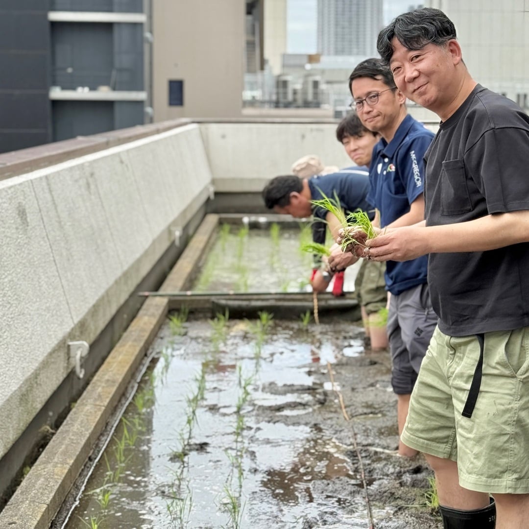 【銀座】銀座で田植え
