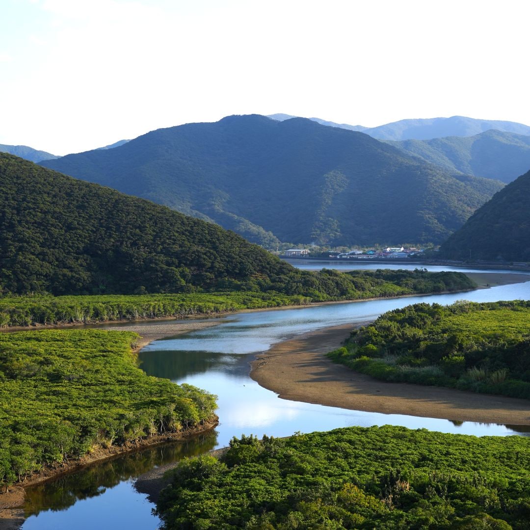 【銀座】つながる市　奄美大島　