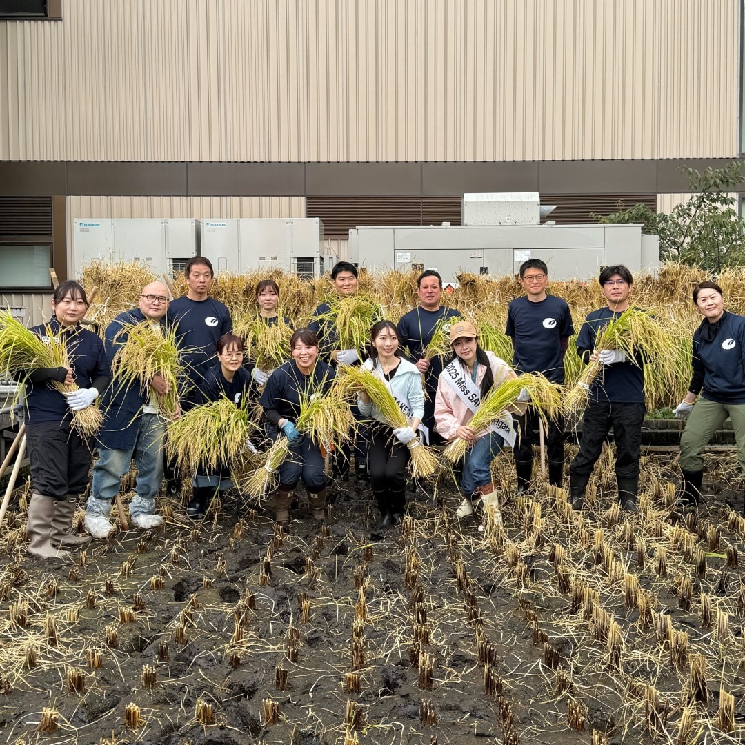 【銀座】屋上で稲刈り