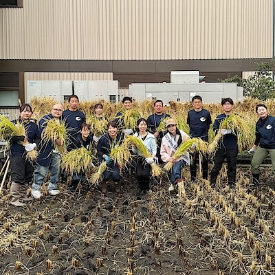 【銀座】屋上で稲刈り　