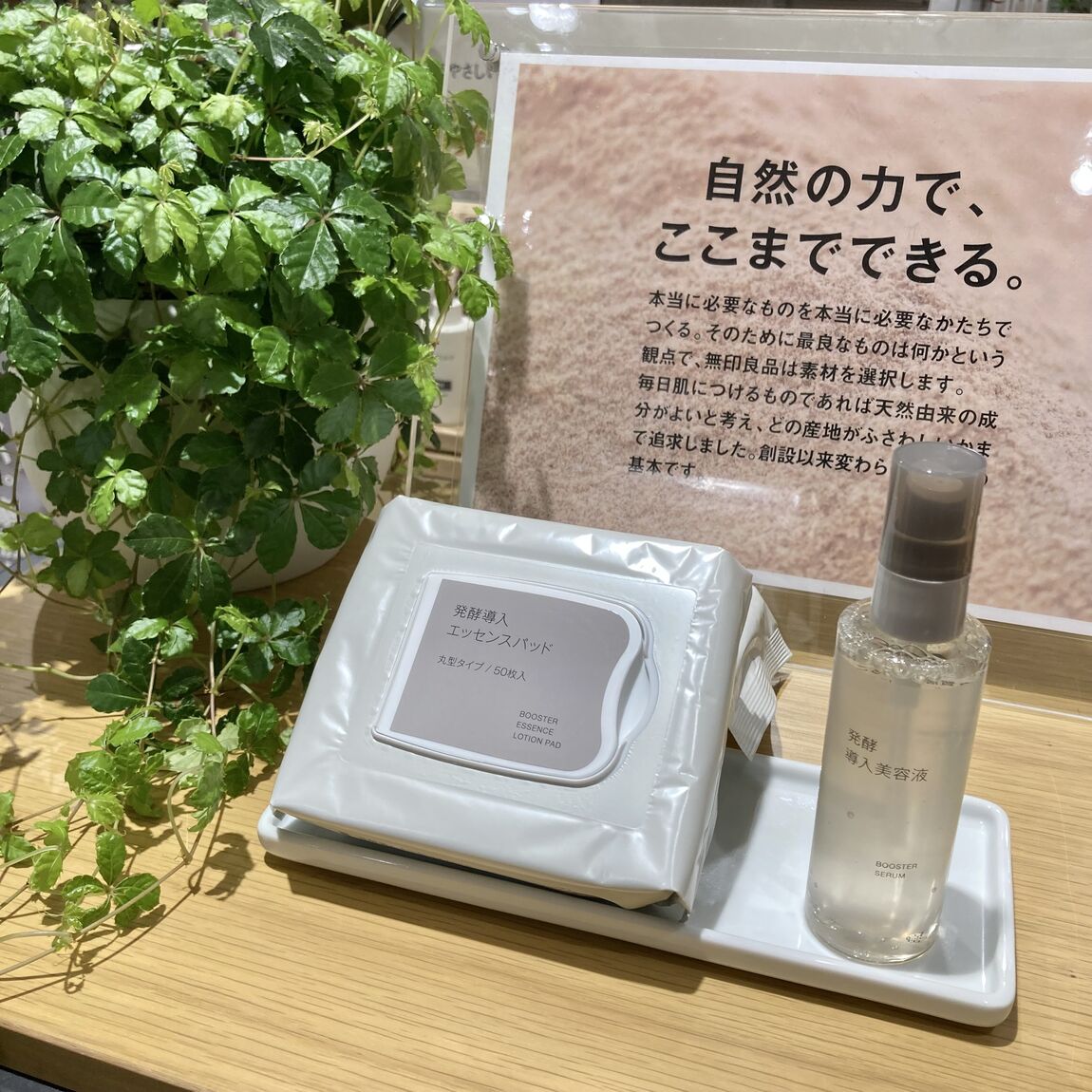 【アル・プラザ草津】発酵導入シリーズ新商品