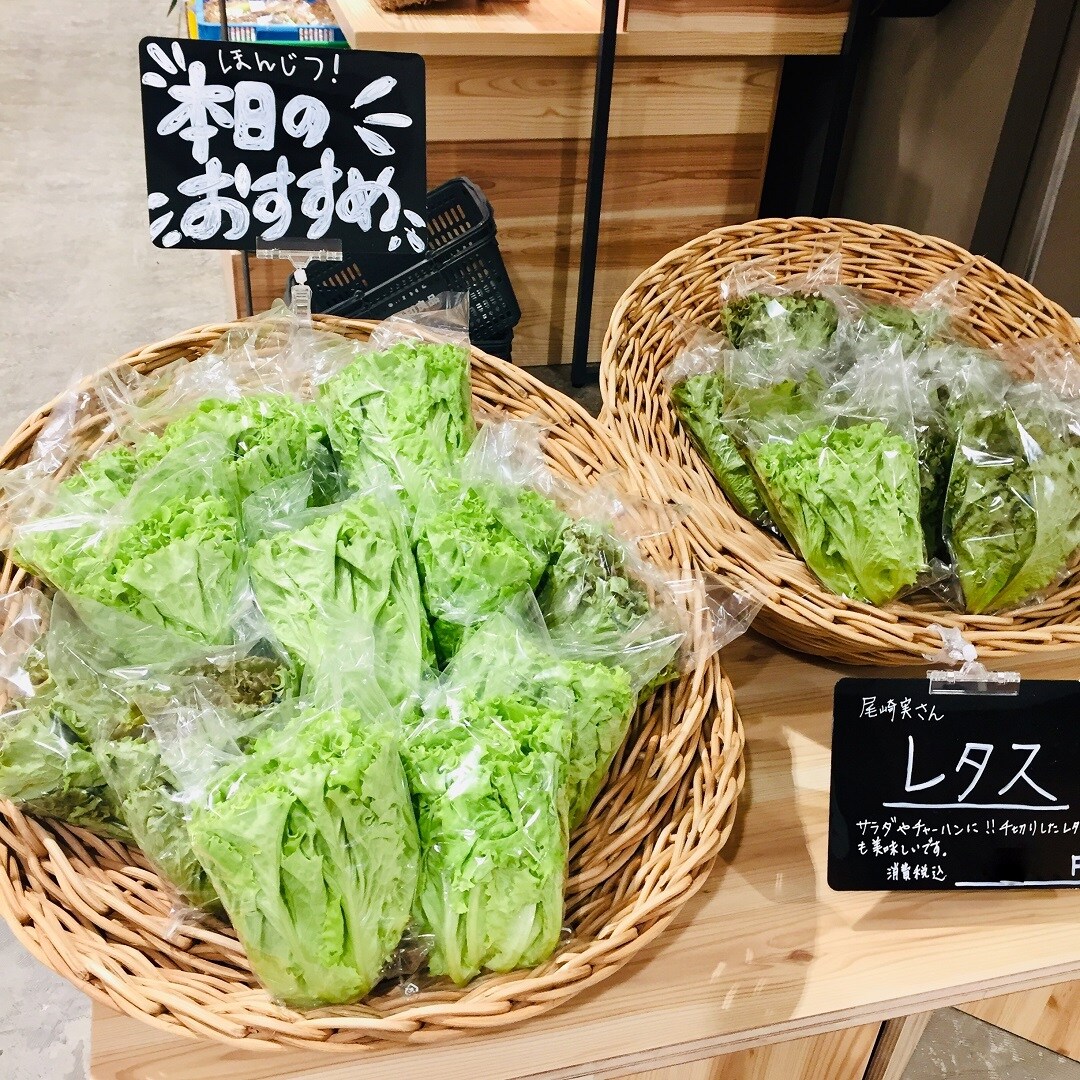 【直江津】新鮮なレタスが入荷しました