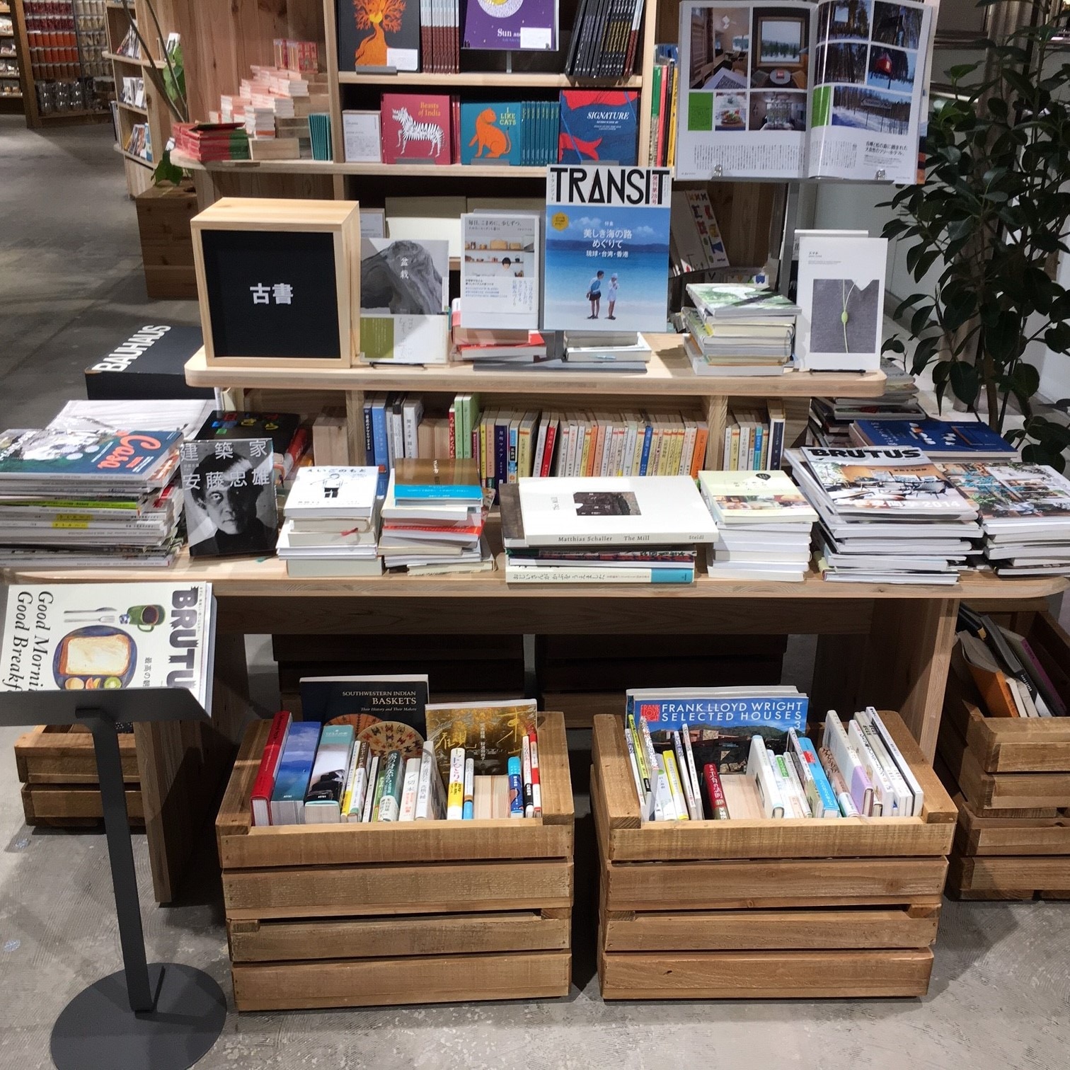 キービジュアル画像：古書のご紹介|おすすめ情報