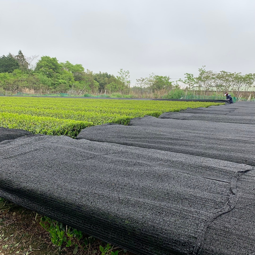 【近鉄四日市】よっかいちのお茶 番外編