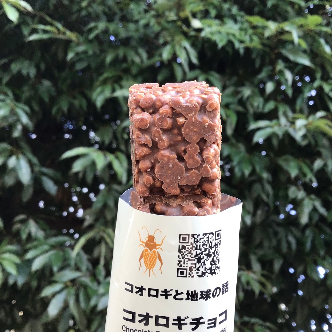 【近鉄四日市】実は、コオロギなんです。｜スタッフのおすすめ
